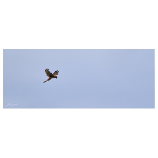 PHOTO84, CLUB, 84 , LUBERON